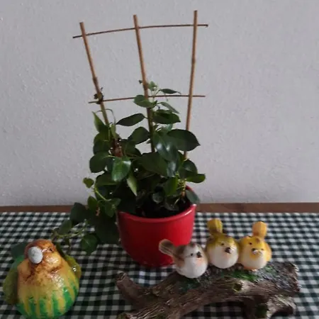 Barschtlerhof Apartamento Axams