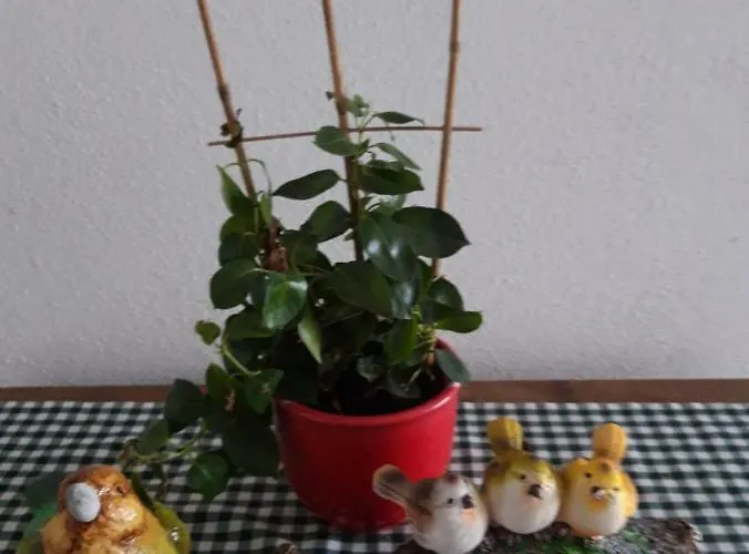 Barschtlerhof Apartment Axams