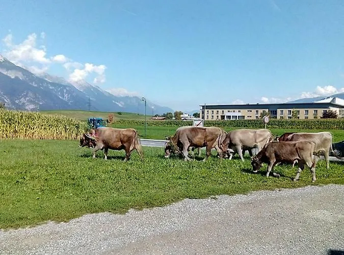 Barschtlerhof Apartment