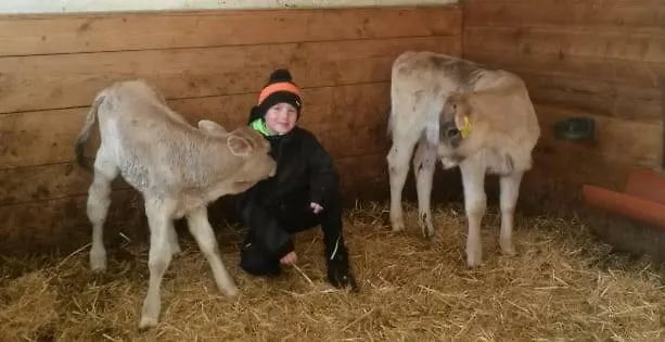 公寓 Barschtlerhof 阿克桑姆斯